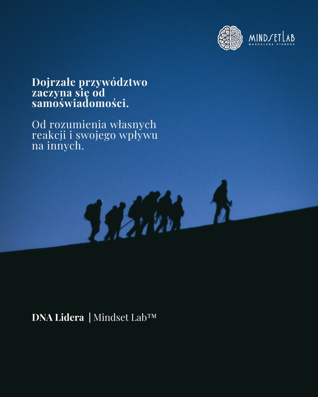 DNA Lidera Mindset Lab
